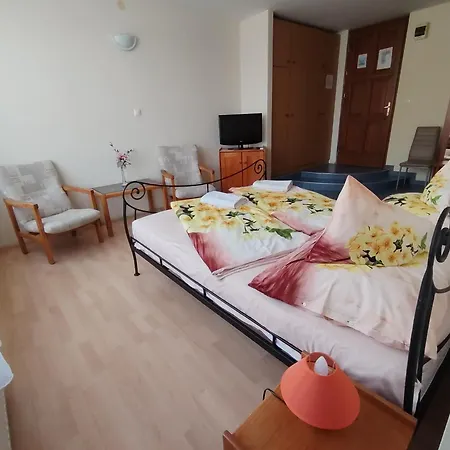 City Hotel Siofok מלון 3*