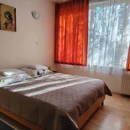 מלון City Hotel Siofok 3*