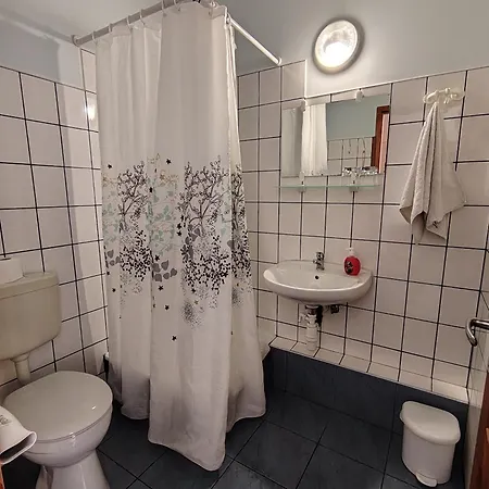 City Hotel Siofok 3* שיופוק