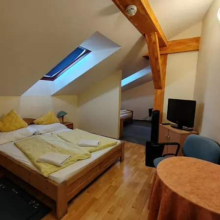 City Hotel Siofok 3* שיופוק