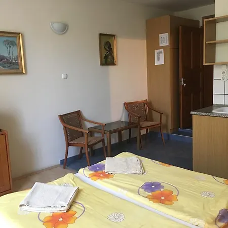 Otel City Hotel Siofok 3*