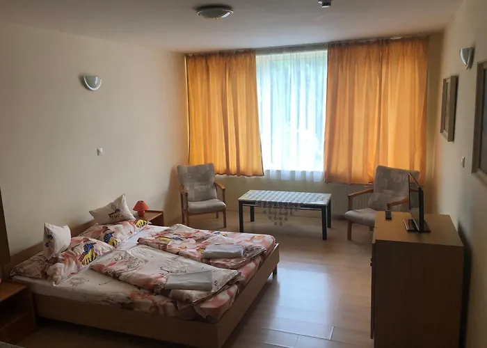 מלון City Hotel Siofok 3*