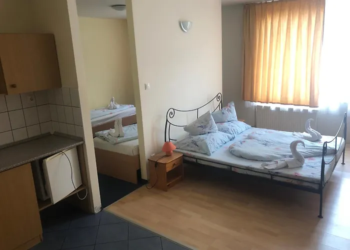 City Hotel Siofok 3* שיופוק