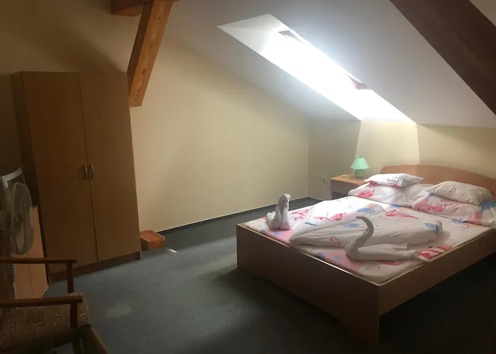 City Hotel Siofok 3* שיופוק